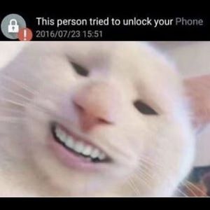 Meet your Posher, Justin